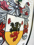 close up of o'dalaig family crest