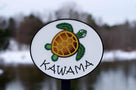 Personalized Last Name Entrance or Address Sign With Turtle or other image (LN30) - The Carving Company
