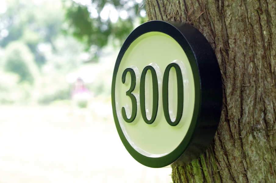 Carved House Number - Any Number (A3) - The Carving Company