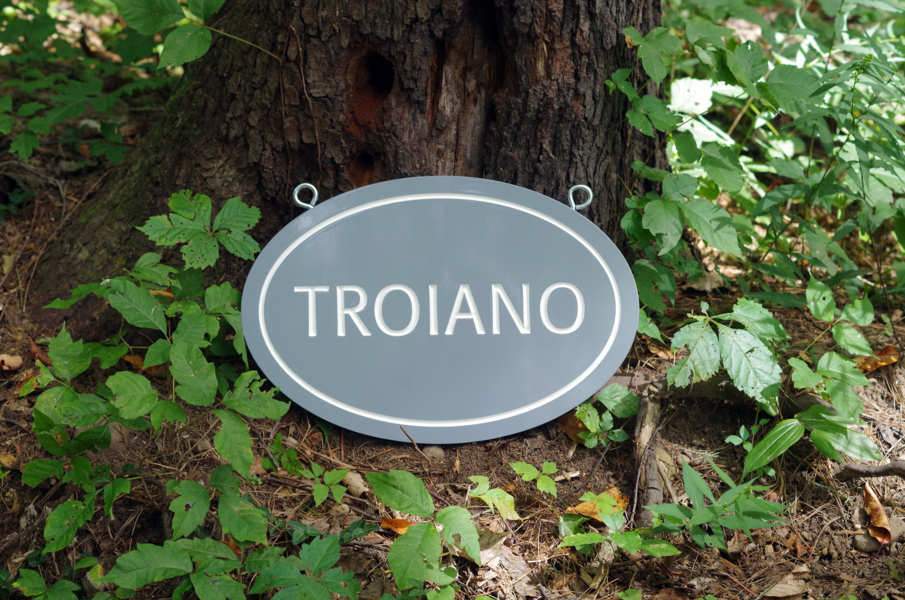 Personalized Last Name Entrance Plaque with Double side Emblem Image (LN60) - The Carving Company front view