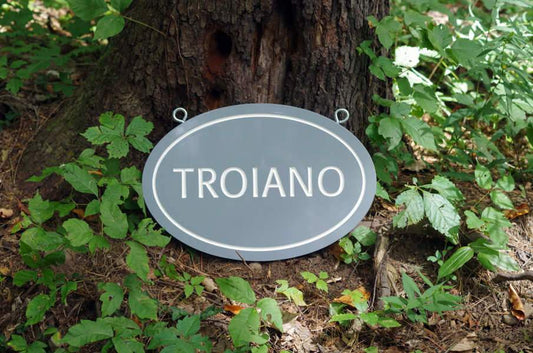 Personalized Last Name Entrance Plaque with Double side Emblem Image (LN60) - The Carving Company front view