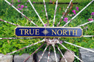 Custom Carved Quarterboard sign with Compass Rose image - Add your name (Q51) - The Carving Company- true north on wagon wheel front view