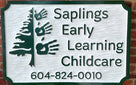 Custom Carved Dimensional Sign for Child Care or any Business (B3) - The Carving Company