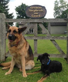 Carved Cedar Beware of Guard Dog Warning Sign  (P12) - The Carving Company