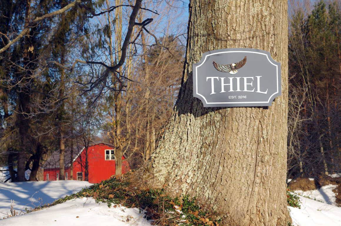 Custom Carved Family Name sign with Established year and Eagle image (LN50) - The Carving Company