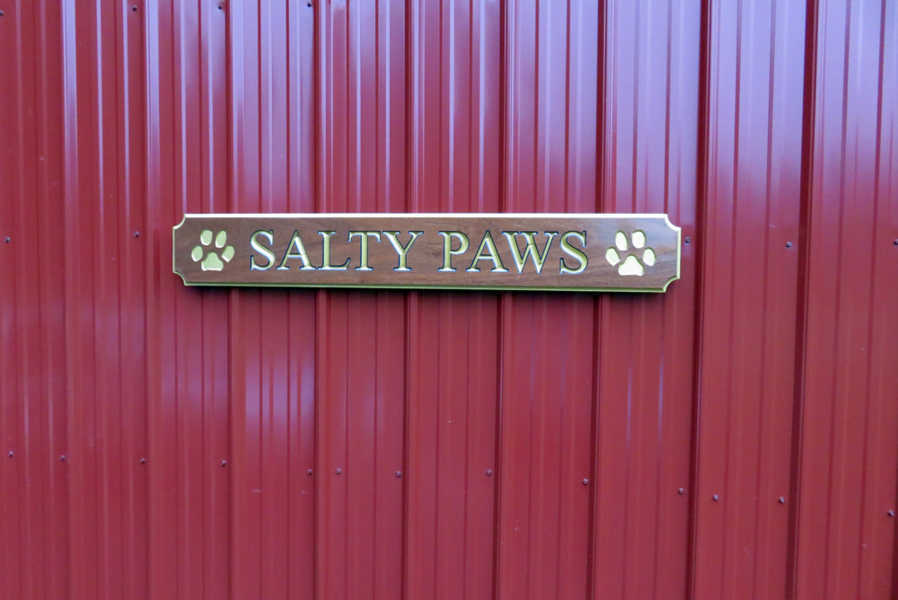 quarterboard carved from mahogany wood with Salty Paws carved on it stained and painted gold